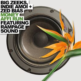 Album cover of Money Affi Run