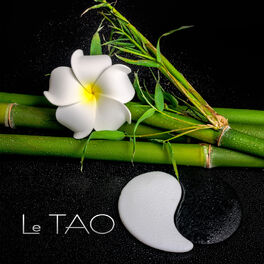 Album cover of Le TAO - Une atmosphère à la détente, La tradition taoïste, Source de bien-être et de paix intérieure