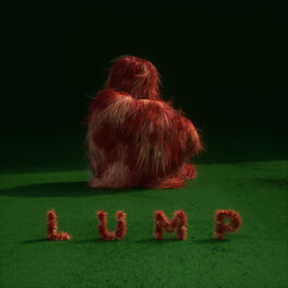 Album cover of LUMP