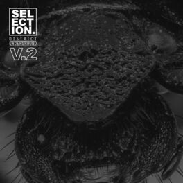 Album cover of Selection. V.2