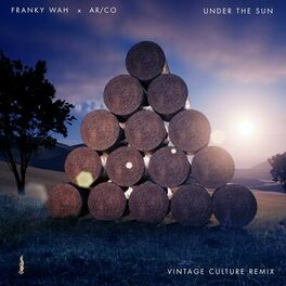 Album cover of Under The Sun (Vintage Culture Remix)