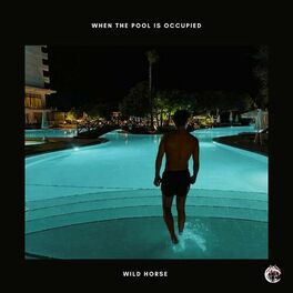 Album cover of When The Pool Is Occupied