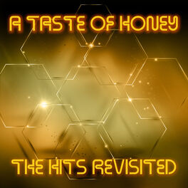 Album cover of The Hits Revisited