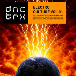 Album cover of Electro Culture Vol.01