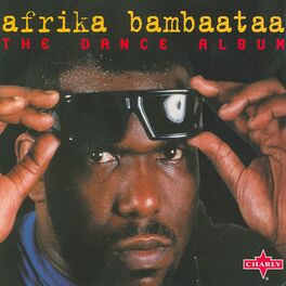 Album cover of The Dance Album