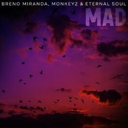 Breno Miranda – Another Day In Paradise Lyrics