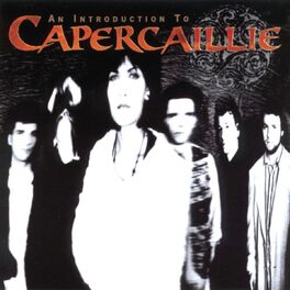 Album cover of An Introduction To
