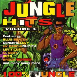 Album cover of Jungle Hits, Vol. 1