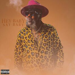 Album cover of Hey Baby Say Baby
