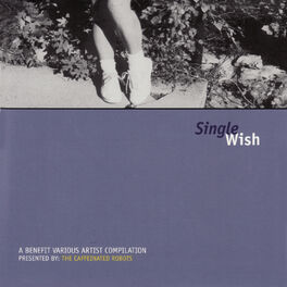 Album cover of Single Wish