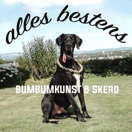 Album cover of alles bestens