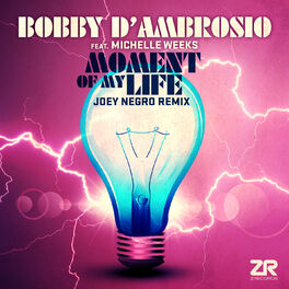 Album cover of Moment of My Life (Joey Negro Remixes)