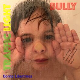 Album cover of Traffic Light Bully