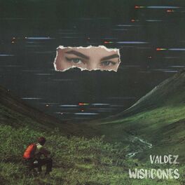 Album picture of Wishbones