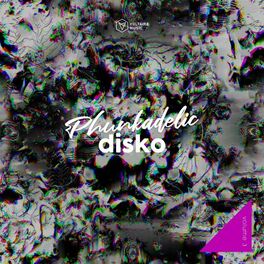 Album cover of Phunkadelic Disko, Vol. 3