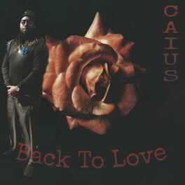 Album cover of Back to Love