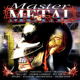Album cover of Master Metal