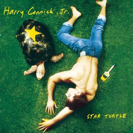 Album cover of Star Turtle