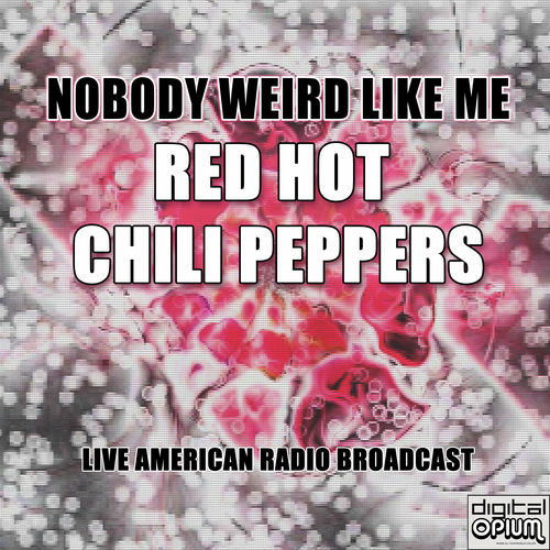 Red Hot Chili Peppers Nobody Weird Like Me (Live) letras e músicas