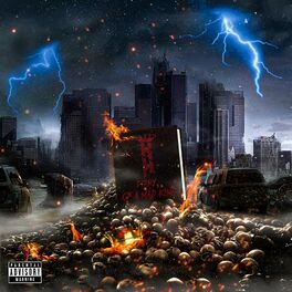 Album cover of Diary Of A Mad King