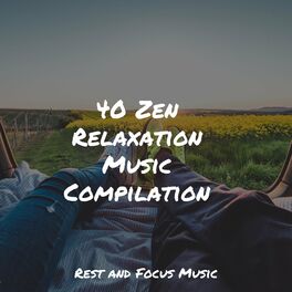 Album cover of 40 Zen Relaxation Music Compilation