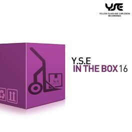 Album cover of Y.S.E. in the Box, Vol. 16