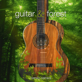 Album cover of Guitar & Forest