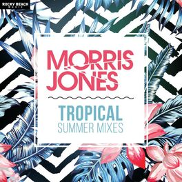 Album cover of Tropical Summer Mixes