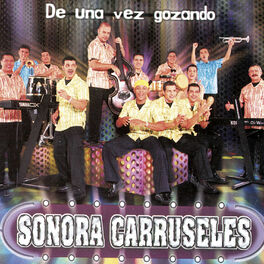 Album cover of De una Vez Gozando