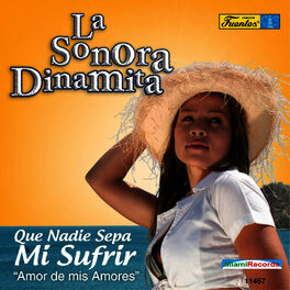 Album cover of Que Nadie Sepa Mi Sufrir - Amor de Mis Amores