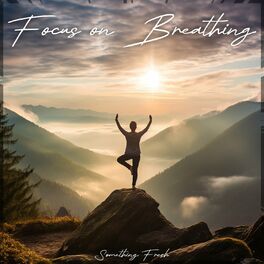 Album cover of Focus On Breathing