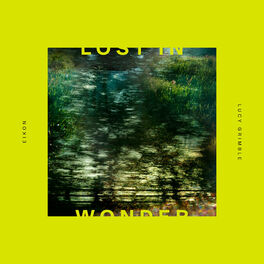 Album cover of Lost in Wonder
