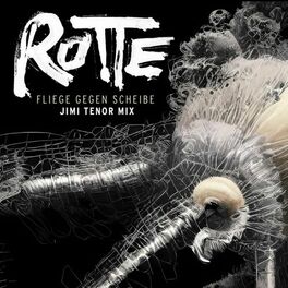 Album cover of Fliege gegen Scheibe (Jimi Tenor Remix)