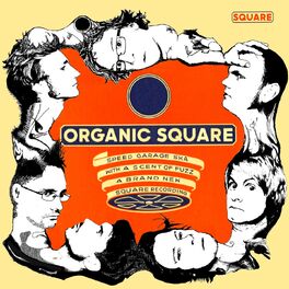 Album cover of Organic Square