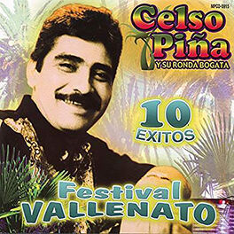Album cover of 10 Exitos Festival Vallenato