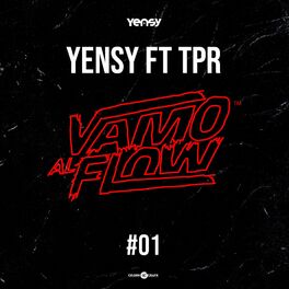 Album cover of Vamo Al Flow 01 (feat. TPR)