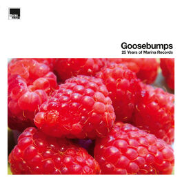 Album cover of Goosebumps – 25 Years of Marina Records