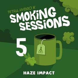 Album cover of Haze Impact (Smoking Session 5)