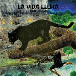 Album cover of La Vida Llora