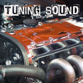 Album cover of Tuning Sound (The Best Of)