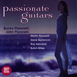 Album cover of Passion Guitars