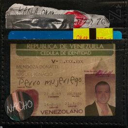 Album cover of Perro Mujeriego