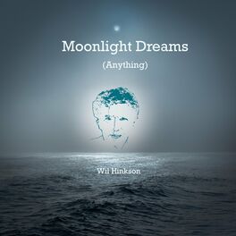 Album cover of Moonlight Dreams (Anything)