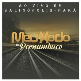 Album cover of Ao Vivo em Salinópolis, Pará