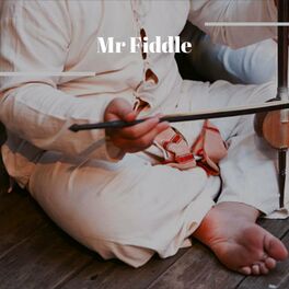Album cover of Mr Fiddle