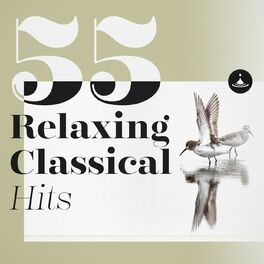 Album cover of 55 Relaxing Classical Hits