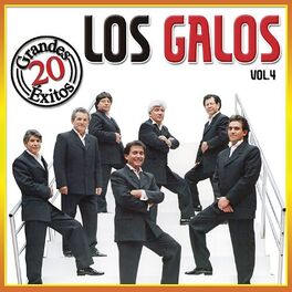 Album cover of 20 Grandes Exitos - Vol. 4