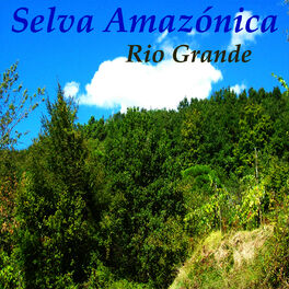 Album cover of Selva Amazónica
