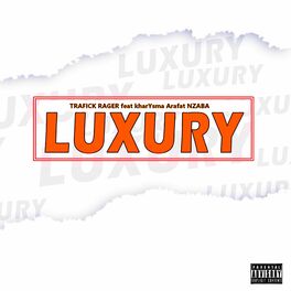 Album cover of Luxury (feat. Trafick Rager)