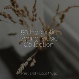 Album cover of 50 Hypnotic Spring Music Collection